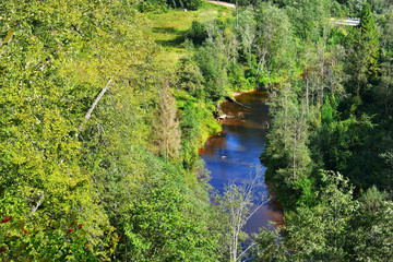 Amata river valley in Gauja national park, Latvia - 100121966