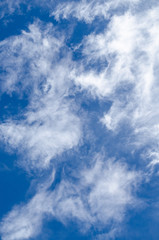 Fototapeta premium blu sky have clouded