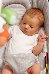 Two weeks old newborn baby