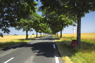 Road and bicycle in France