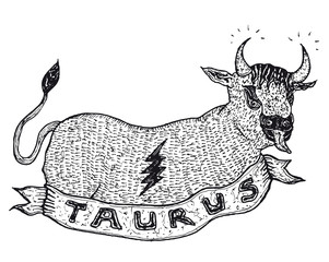 Hand drawn Taurus horoscope sign with banner