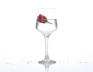 Beautiful red rose head in glass