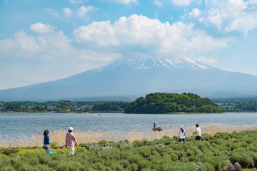 Lake Kawaguchiko in summer, southern Yamanashi Prefecture near Mount Fuji, Japan