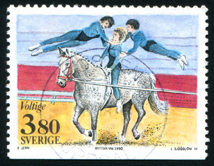 equestrian acrobats
