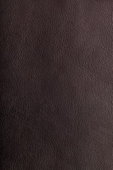Vintage brown Leather with fur banner. Background Textured and Wallpaper. Vintage Rustic texture.
