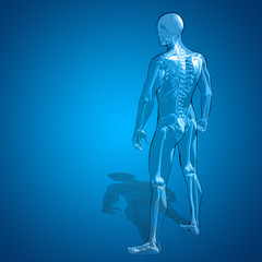 Concept or conceptual 3D human man skeleton anatomy