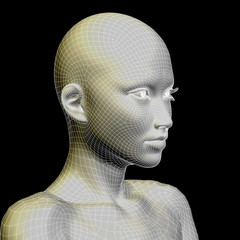 Conceptual 3D wireframe human female or woman face or head