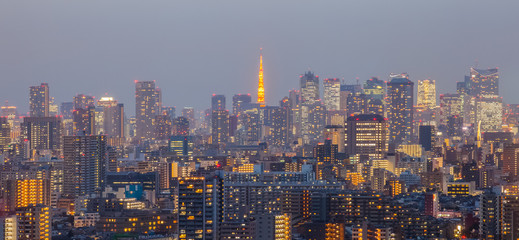 Tokyo city view with Tokyo tower in twilight