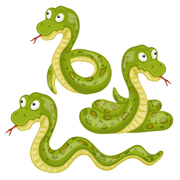 Illustration of  scary snakes on a white background