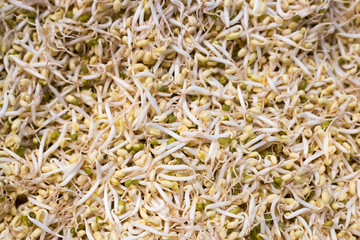 bean sprouts, soybean sprouts