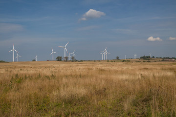 Farma wiatrowa w okolicach Darłowa