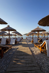 umbrellas on a beach 