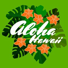 Fototapeta na wymiar aloha, hawaii