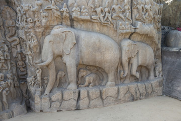 Templo de la Cueva de Varaha, Mamallapuram, India. Elefantes en relieves. Descenso del Ganges. 