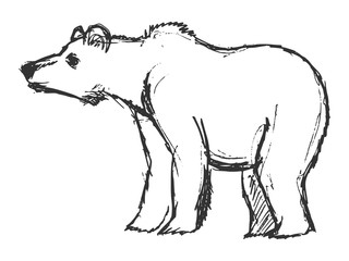 hand drawn, grunge, sketch illustration of bear