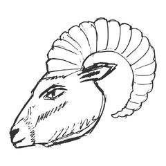 hand drawn, grunge, sketch illustration of mountain goat