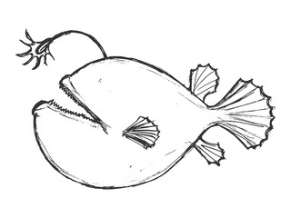 hand drawn, grunge, sketch illustration of deep-sea fish