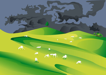 Vaches mangeant dans la prairie