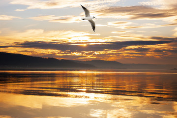 Goldener Sonnenuntergang am See