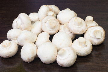 Champignon, mushrooms