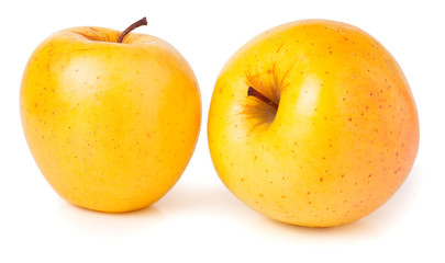 two yellow apples isolated on white