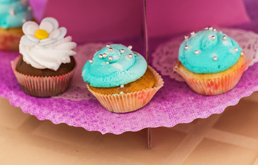 Sweet holiday buffet with cupcakes  and other desserts