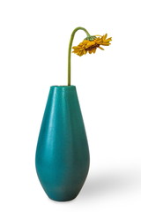 Fototapeta premium Verdorrte Sonnenblume