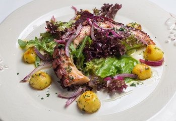 Octopus salad close up. Shallow depth of field.