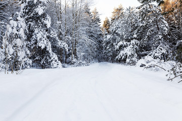 the winter road  