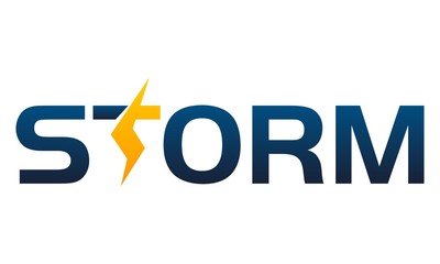 Letter Storm Company Logo