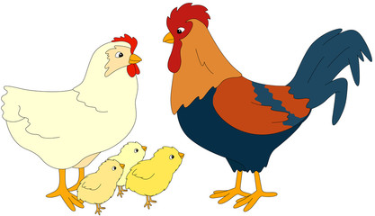 Set of cock, hen and chicks. Vector illustration
