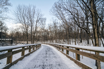 Snowy Boardwalk Trail