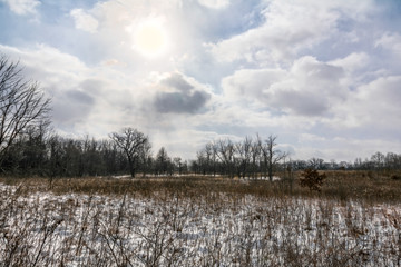 Snowy Prairie