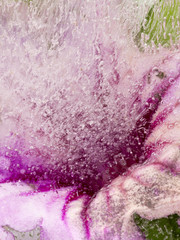 abstraction with pink delicate flower