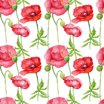 seamless pattern. Red poppies,watercolor illustration