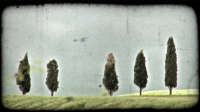 Italian Landscape 5. Vintage stylized video clip.