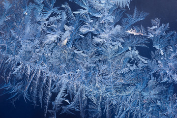 Blue frozen background