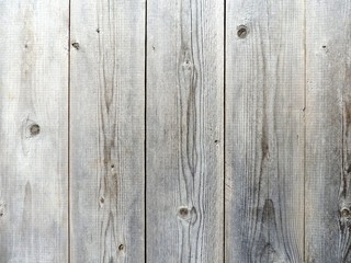 Fototapeta premium Perfect natural gray wood texture