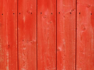 Fototapeta premium Natural wood texture