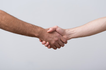 Closeup of shaking hands