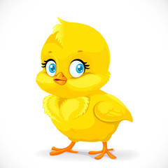 Little cute yellow cartoon chick isolated on a white background