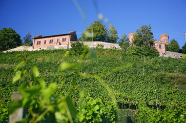 Schloss Ortenberg, Weingut, Ortenau, Kinzigtal