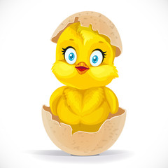 Fluffy little cartoon chick hatched from an egg