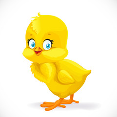 Cute yellow cartoon chick isolated on a white background