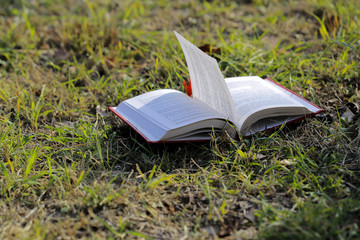 Open book on the grass