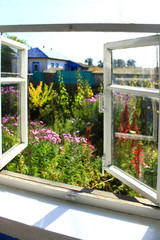 opened window to the summer garden