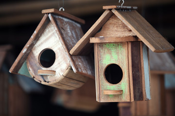 wooden bird house