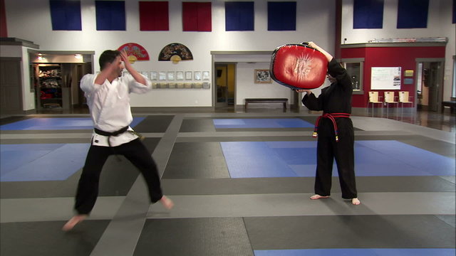 Martial arts instructor kicking a bag held in the air.