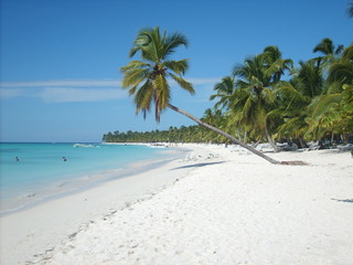 Caraibi