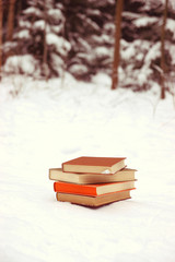 A stack of books on the snow. Winter